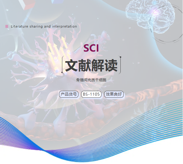 文獻解讀丨具有神經(jīng)-血管生成功能的抗菌仿生骨膜用于骨再生